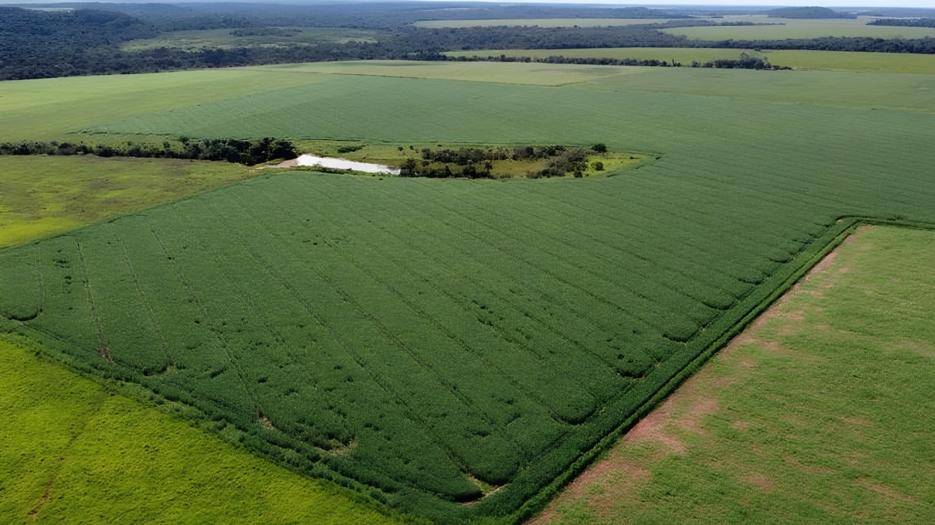 Fazenda 2km da BR 163